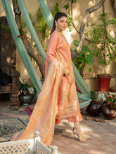 Load image into Gallery viewer, Bin Ilyas Dastak 3pc Unstitched Luxury Embroidered Festive Lawn Suit D12-B