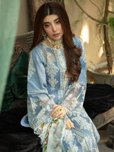 Load image into Gallery viewer, Bin Ilyas Dastak 3pc Unstitched Luxury Embroidered Festive Lawn Suit D17-B