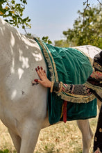 Load image into Gallery viewer, Qalamkar - Shadmani phir se - Designer wear - Formal Dress FF 04