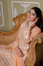 Load image into Gallery viewer, Bin Hameed Khoubsurat 3pc Unstitched Heavy Embroidered Fancy Chiffon Dress AY-3712