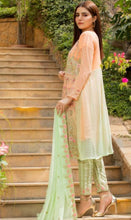 Load image into Gallery viewer, Bin Hameed Tehzeeb 3pc Unstitched Heavy Embroidered Fancy Chiffon Dress AY-2705(A)