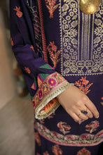 Load image into Gallery viewer, RUBAB 3pc Unstitched Luxury Embroidered Karandi Suiting RA-21-RK-D8