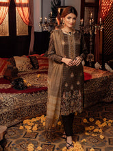 Load image into Gallery viewer, Salitex - 3pc Unstitched - Embroidered Jacquard Luxury Banarsi Viscose Suit (WK-00875)