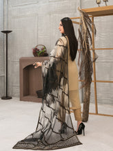 Load image into Gallery viewer, SARAAB 3pc Unstitched Aari Embroidered Fancy Chiffon Suiting D2005
