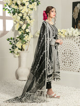 Load image into Gallery viewer, Tawakkal Fabrics Nina Chiffon D6533