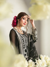 Load image into Gallery viewer, Tawakkal Fabrics Nina Chiffon D6533
