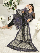 Load image into Gallery viewer, Tawakkal Fabrics Nina Chiffon D6538
