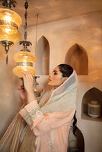 Load image into Gallery viewer, TERRA 3pc Unstitched Luxury Embroidered Karandi Suiting RA-21-RK-D4