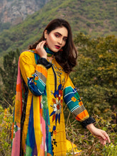 Load image into Gallery viewer, Bin Dawood Tania 3pc Unstitched Embroidered Digital Printed Lawn Suit D‐02
