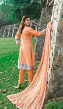 Load image into Gallery viewer, 3 pc Unstitched Embroidered Printed Lawn Suiting - Tawakkal Fabrics
